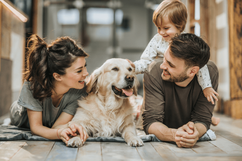 Vijf belangrijkste punten bij het kiezen van een zorgverzekering